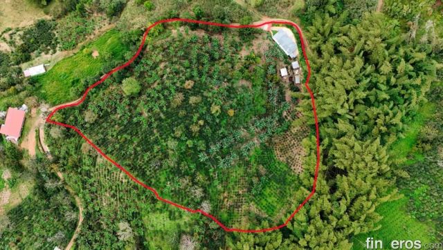 Finca La Pumita - Finca en Palocabildo, Tolima